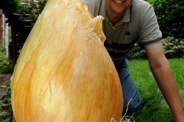 Сайт blacksprut ссылка регистрация