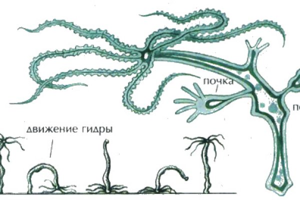 Kraken даркнет переходник