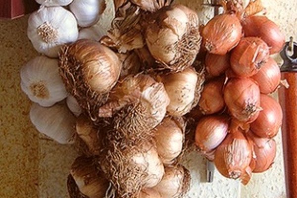 Рабочая ссылка на блэк спрут