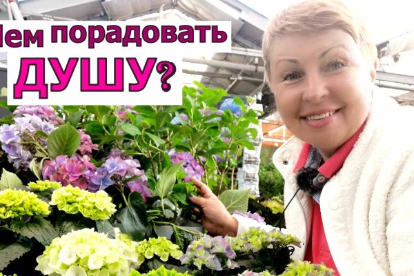 Как зайти на кракен через тор браузер