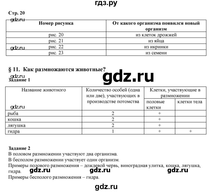 Не могу зайти на кракен